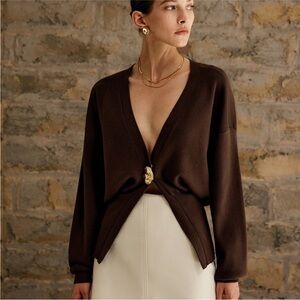 Classic V-Neck Brown Women's Cardigan Sweater NEW Sz L